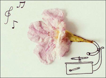 Grammophon